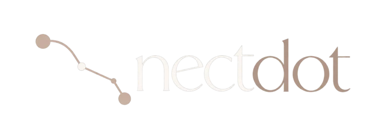 Nectdot logo with icon best digital marketing expert in calicut